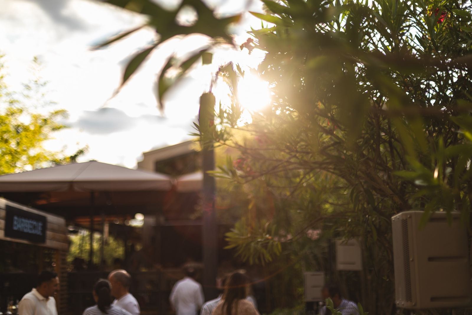 Abendstimmung beim Sommerfest im Zollhofgarten
